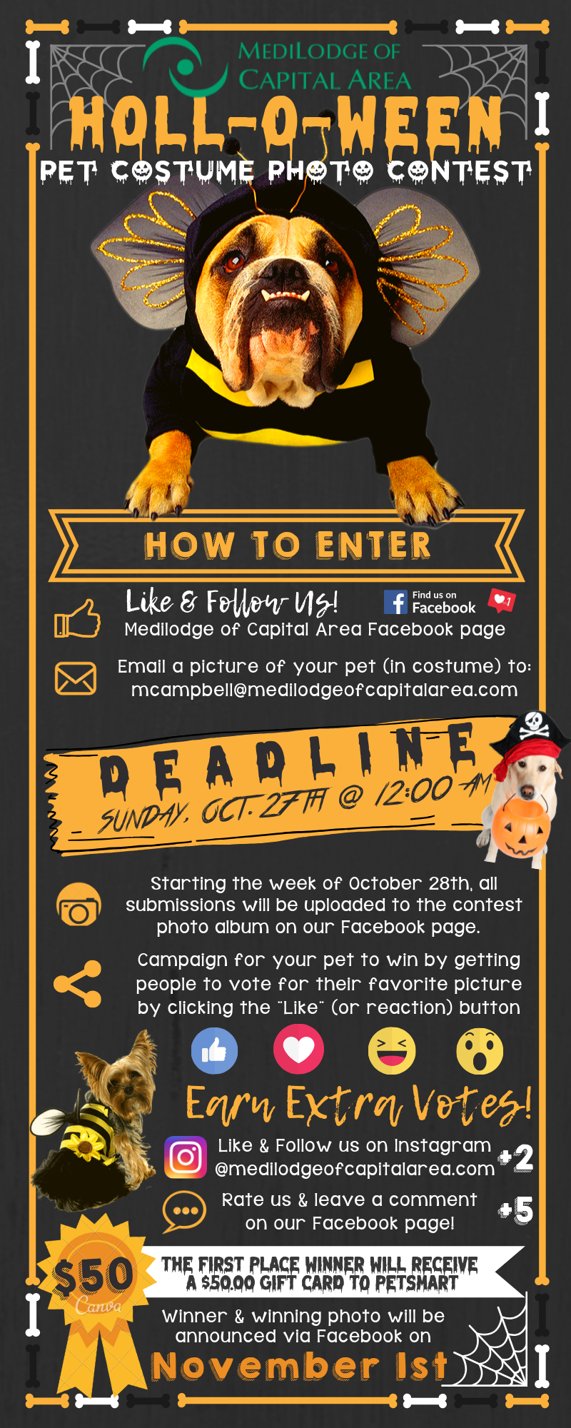 pet costume contest flyer